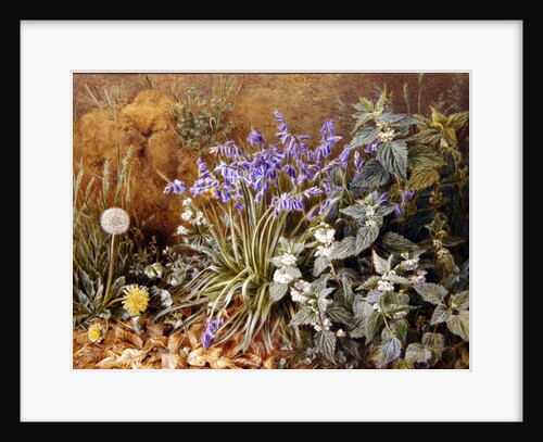 Wild Flowers by Marian Emma Chase