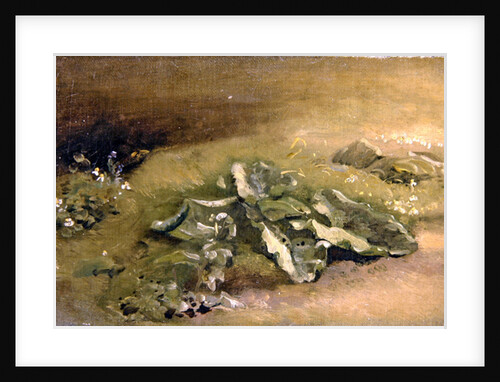 A Study of Burdock by John Constable