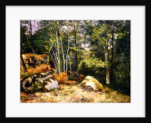 Coin de Foret by Gustave Courbet