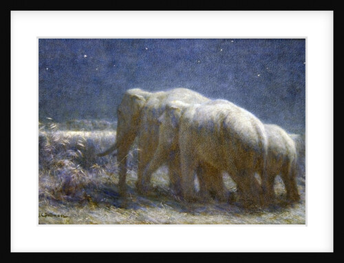 Night, 1908 by John Charles Dollman