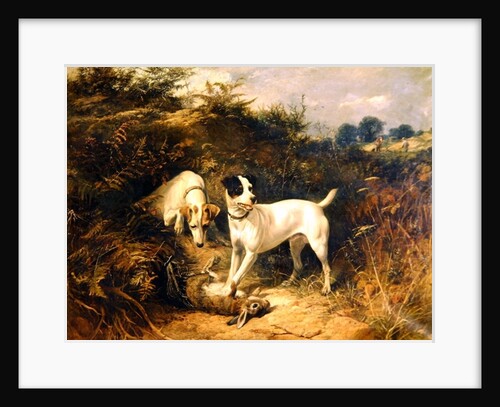 The Warrener's Friends by George Earl