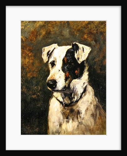 Puck, 1903 by John Emms