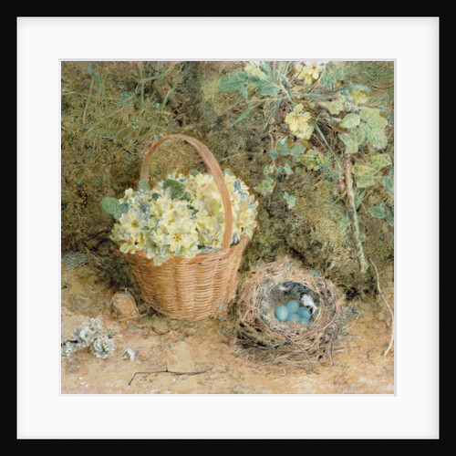 Chaffinch's Nest with Primroses by William Henry Hunt