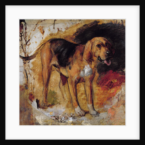 A Study of a Bloodhound, 1848 by William Holman Hunt