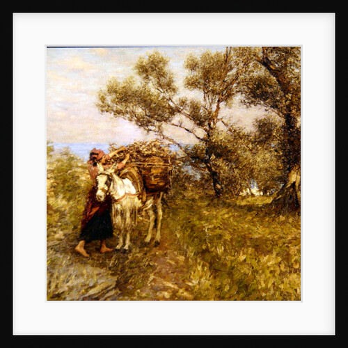 Ligurian Olives by Henry Herbert La Thangue