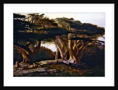 The Cedars of Lebanon, 1861 by Edward Lear