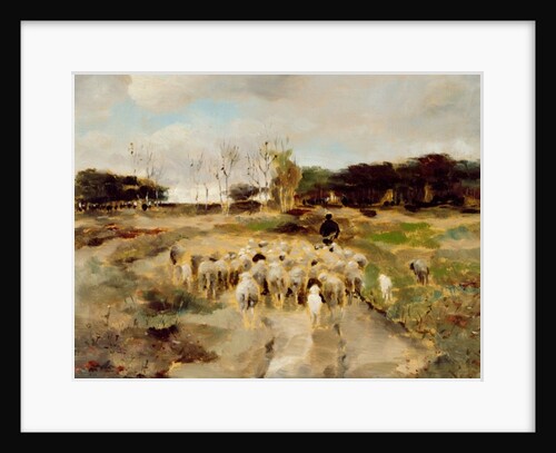 Sheep Flock by Anton Mauve