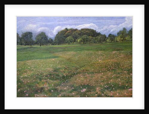 A Field of Autumn Crocus, 1908 by Karl Mediz