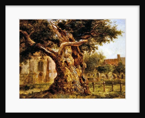 The Old Oak, 1870 by Joseph Thors