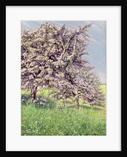 Pommiers Fleuris, 1912 by Carlos Schwabe