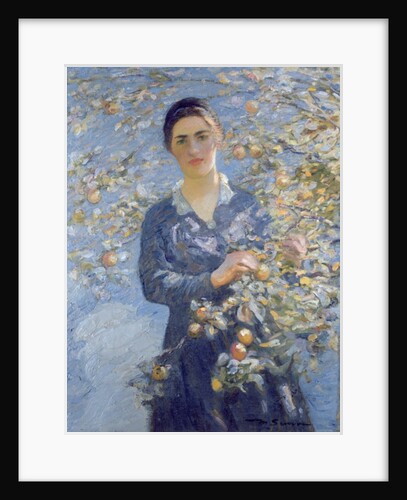 The Apple, 1917 by Mark Senior