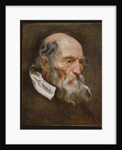 Portrait of an old man by Anthony van (attr. to) Dyck