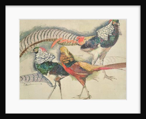 Lady Amherst's Pheasant by Theo van Rysselberghe