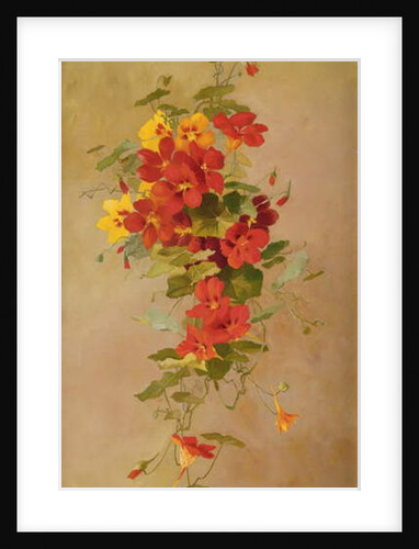 Nasturtiums by Anna Eliza Hardy