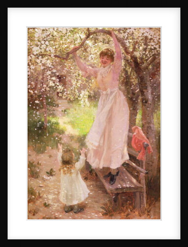 Falling Apple Blossoms by Hamilton Hamilton