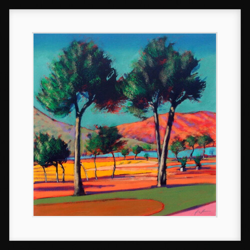 Son Vida by Paul Powis