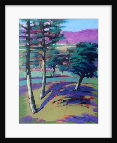 Sunny Afternoon by Paul Powis