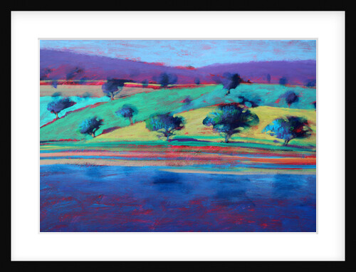 Exe Estuary, 2010 by Paul Powis