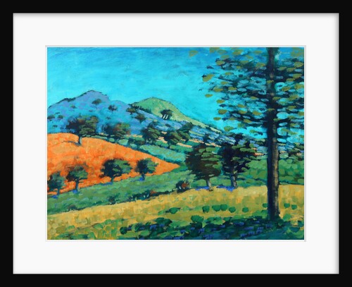 Malvern Hills, 2015 by Paul Powis