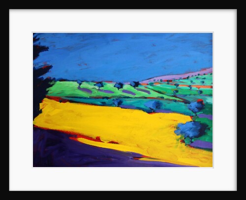 Hereford, 2010 by Paul Powis