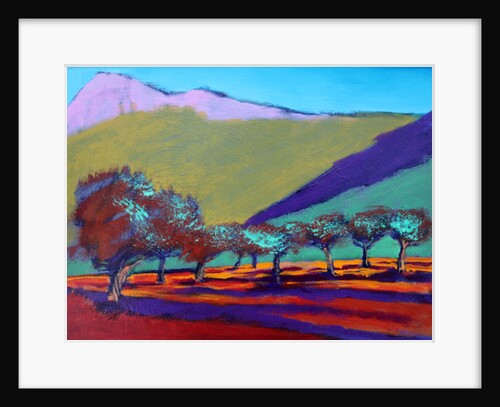 Olive Trees by Paul Powis