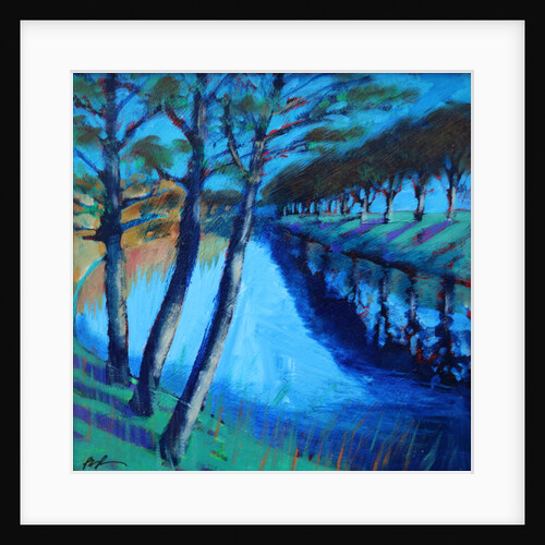 River Severn, 2010 by Paul Powis