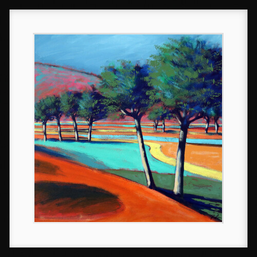 Son Vida II, 2006 by Paul Powis