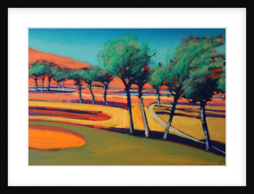 Son Vida III, 2006 by Paul Powis