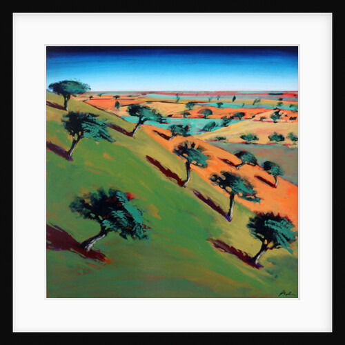 Ragged Stone Hill by Paul Powis