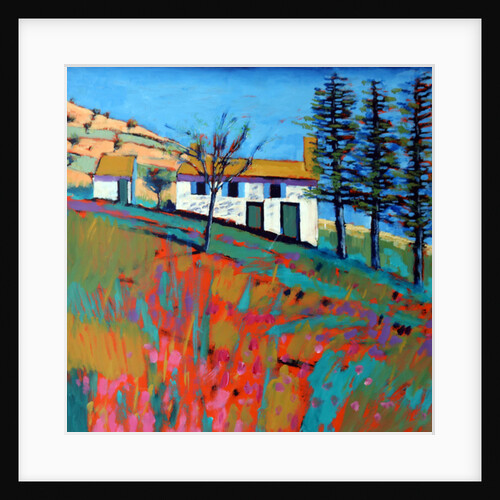 Le Marche, 2014 by Paul Powis