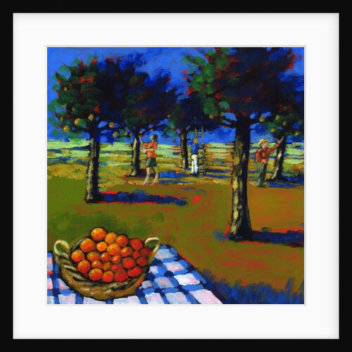 Orange picking, 2008 by Paul Powis