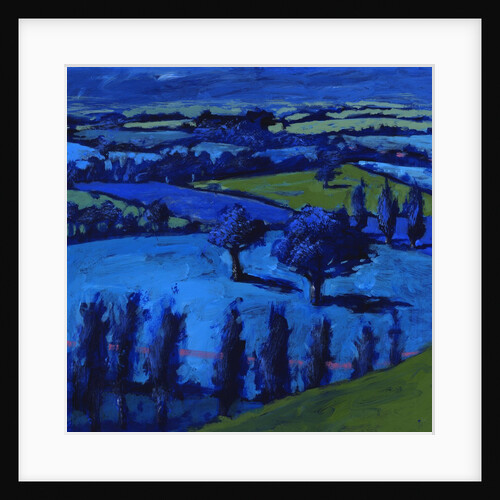 Blue landscape, 2009 by Paul Powis