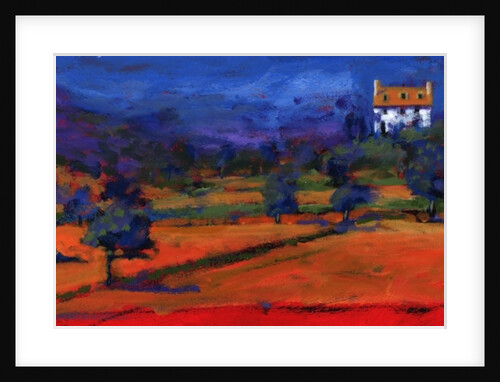 Summer at the white house, 2009 by Paul Powis