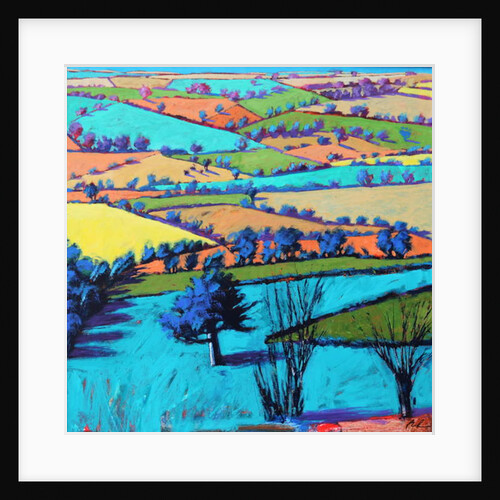 Teme Valley summer II by Paul Powis