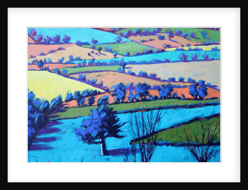 Teme Valley summer II close up by Paul Powis