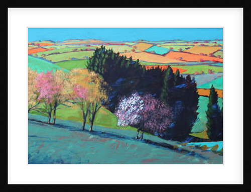 Teme Valley blossom by Paul Powis