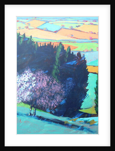 Teme Valley blossom close up 1 by Paul Powis