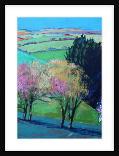 Teme Valley blossom close up 2 by Paul Powis