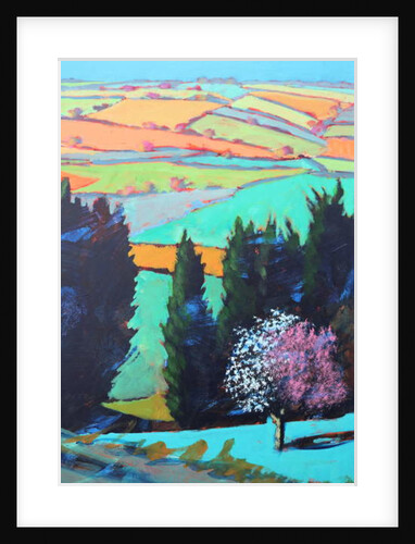 Teme Valley blossom close up by Paul Powis