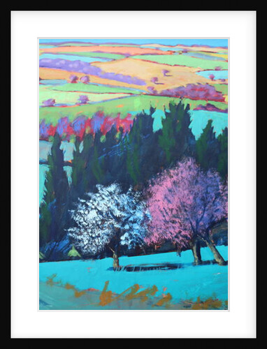 Teme Valley April close up 1 by Paul Powis