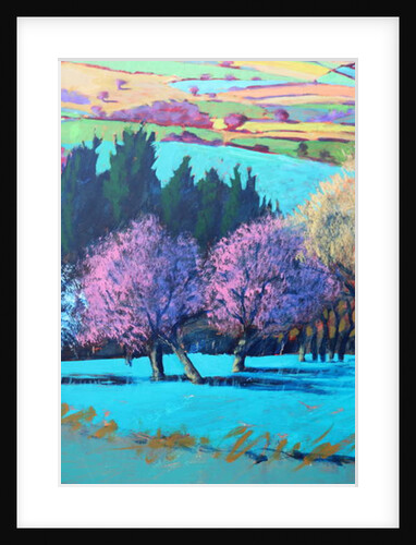 Teme Valley April close up by Paul Powis