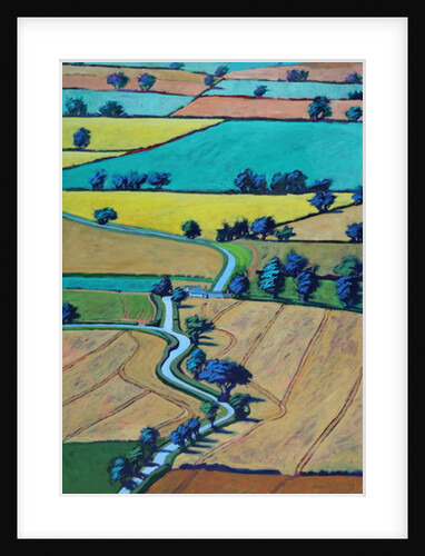 Lane in summer by Paul Powis