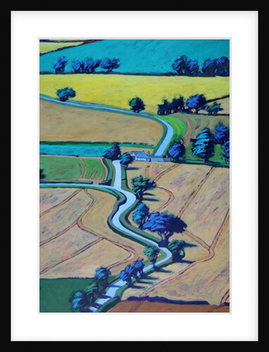 Lane in summer close up 1 by Paul Powis