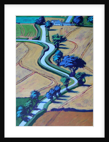 Lane in summer close up 2 by Paul Powis