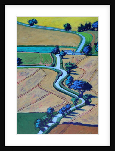 Lane in summer close up by Paul Powis