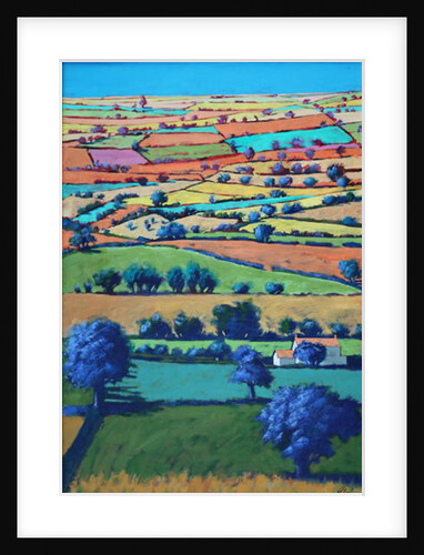 Devon II by Paul Powis