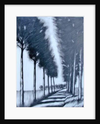 Avenue by Paul Powis