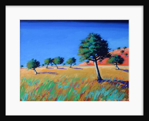 Almond Trees, by Paul Powis