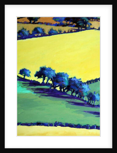 Whiteleaved oak close up 8, 2019 by Paul Powis