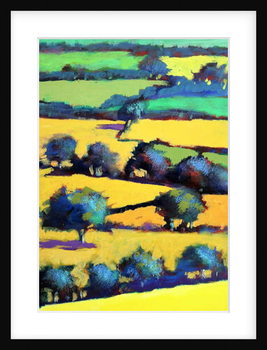 Whiteleaved oak close up 6, 2019 by Paul Powis